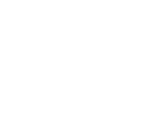 Dubai Goverment